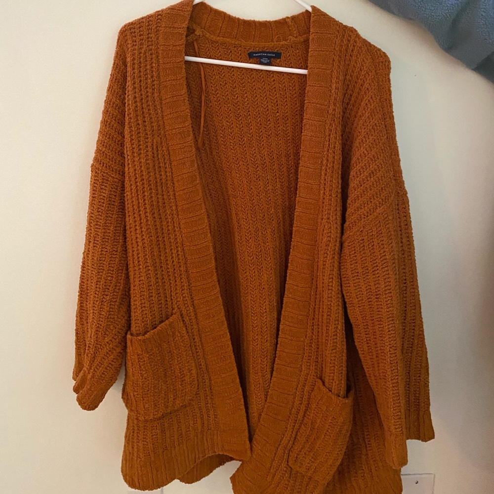 American Eagle Cardigan